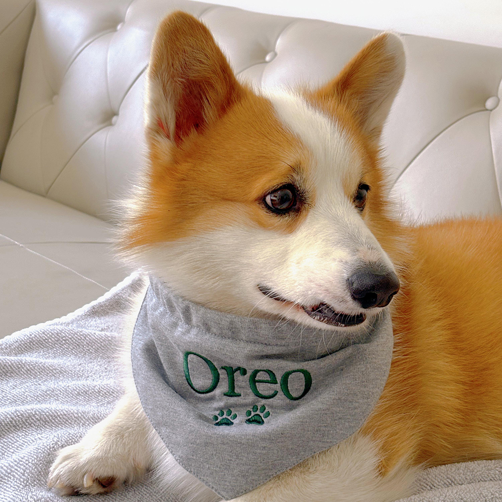 Personalized Embroidered Adjustable Dog Bandana | BKPet166