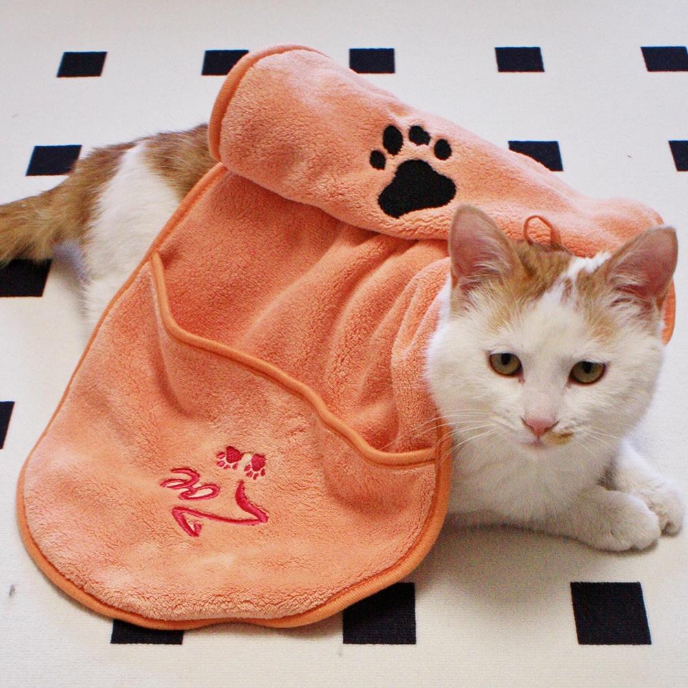 Personalized Embroidered Pet Drying Towel | BKPet167
