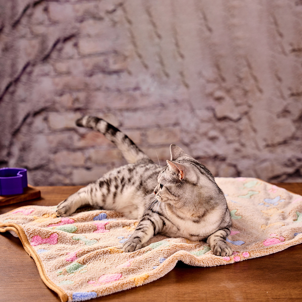 Personalized Embroidered Lovely Flannel Pet Blanket | BKPet198