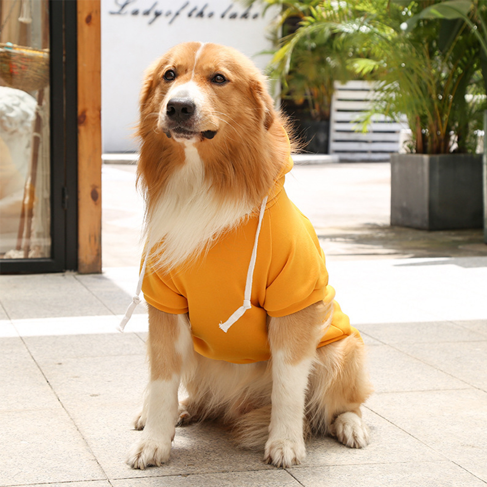 Personalized Halloween Puppy Hoodie for Comfort & Unique | CWHalloween56