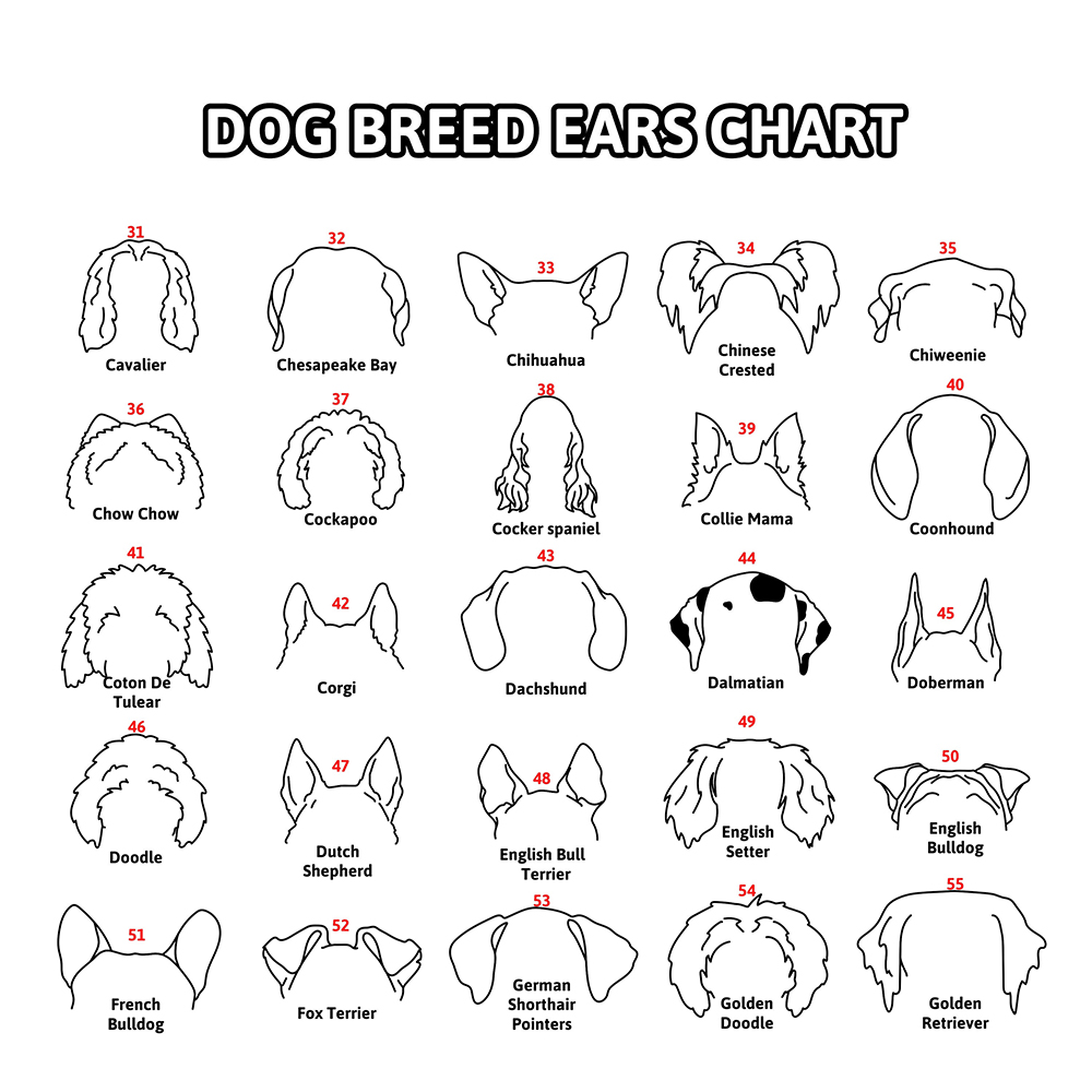 Personalized Memorial Plaque Dog Ear Collar Sign | BKPet212