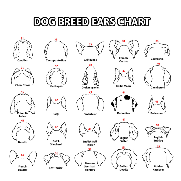 Personalized Memorial Plaque Dog Ear Collar Sign | BKPet212