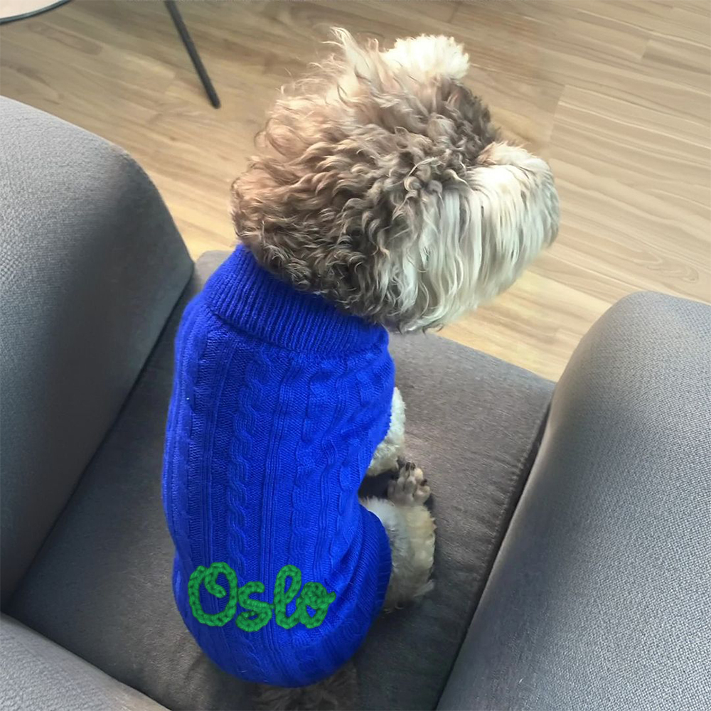 Personalized Hand Embroidery Pets Colourful Sweater | BKPet233