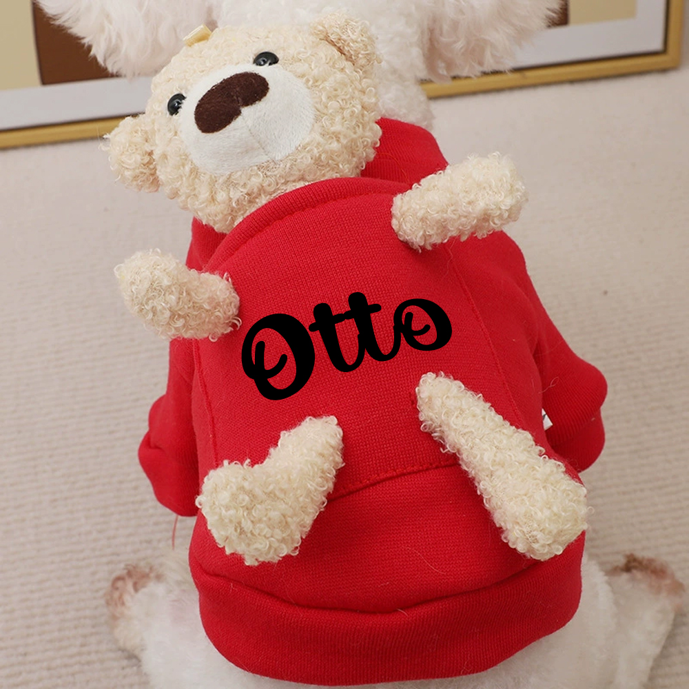 Personalized Pet Lovely Plush Warm Shirt With Bear | BKPet236