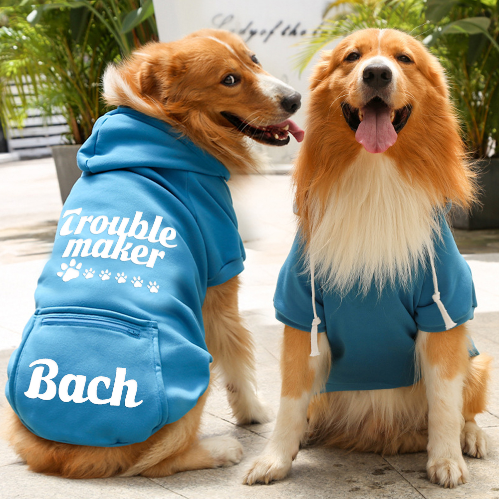 Personalized Warm Puppy Hoodie for Comfort & Unique | BKPet257