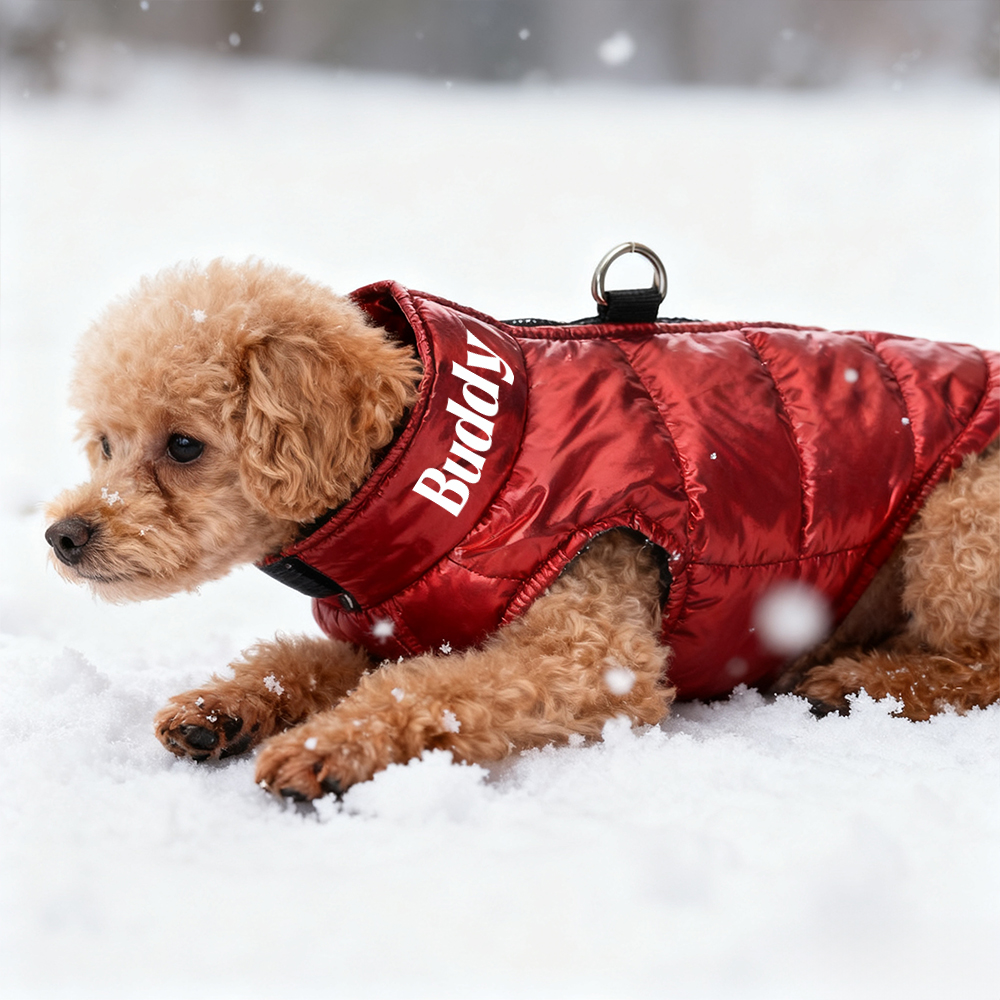 Personalized Pet Winter Warm Windproof Puffer Jacket | BKPet266