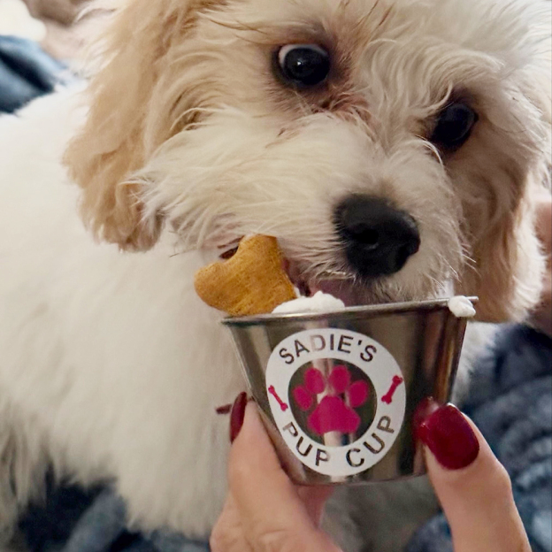 Personalized Pet Stainless Steel Reusable Mini Pup Cup Mug | BKPet273