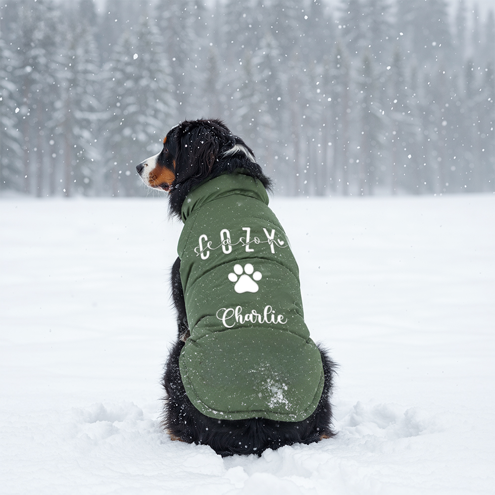Personalized Pet Winter Warm Windproof Large Puffer Jacket | BKPet279