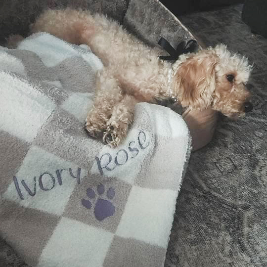 Personalized Embroidered Pet Checker Soft Blanket | BKPet301