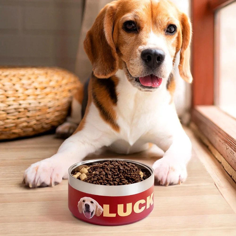 Personalized Stainless Steel Funny Pet Face with Name Food Bowl | BKPet306