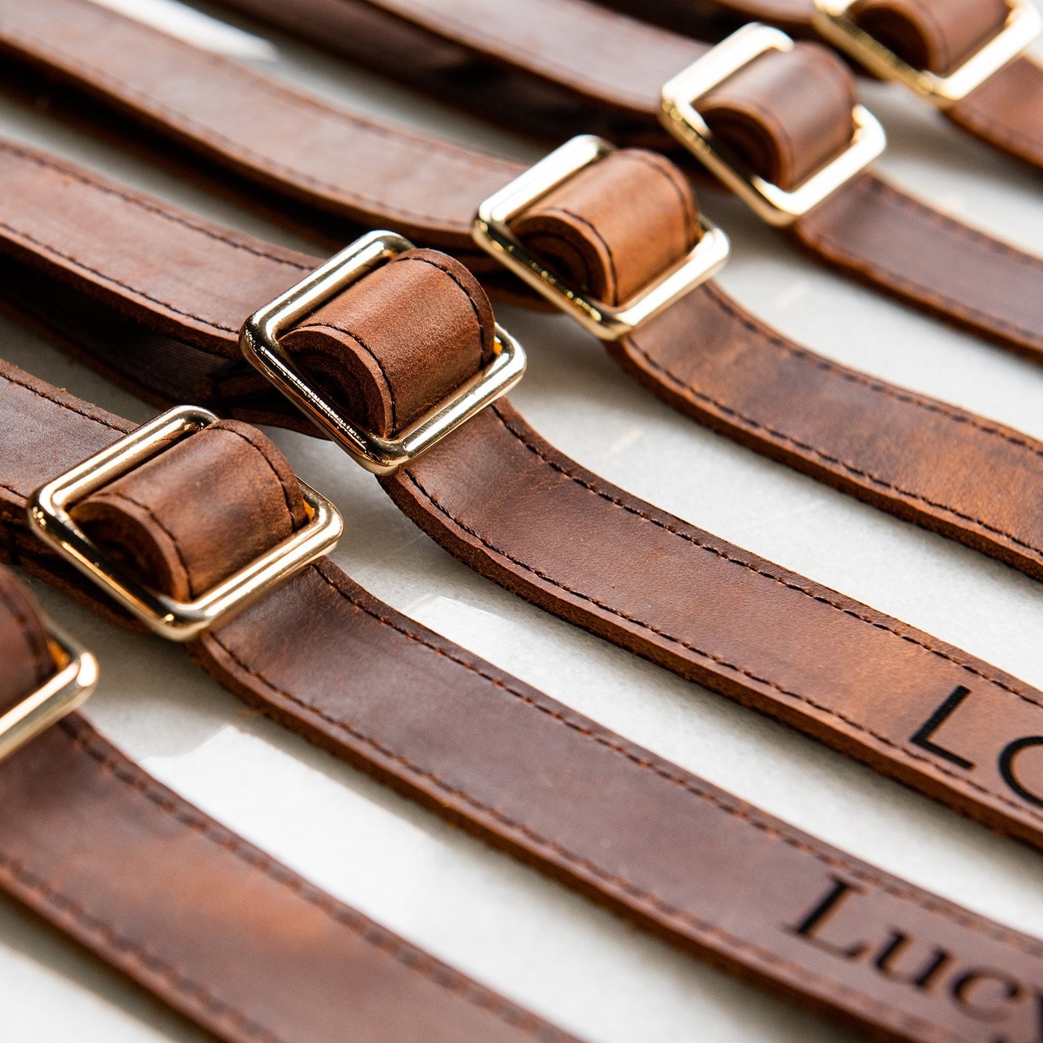 Personalized Name or Information Leather Pet Collar | BKPet151