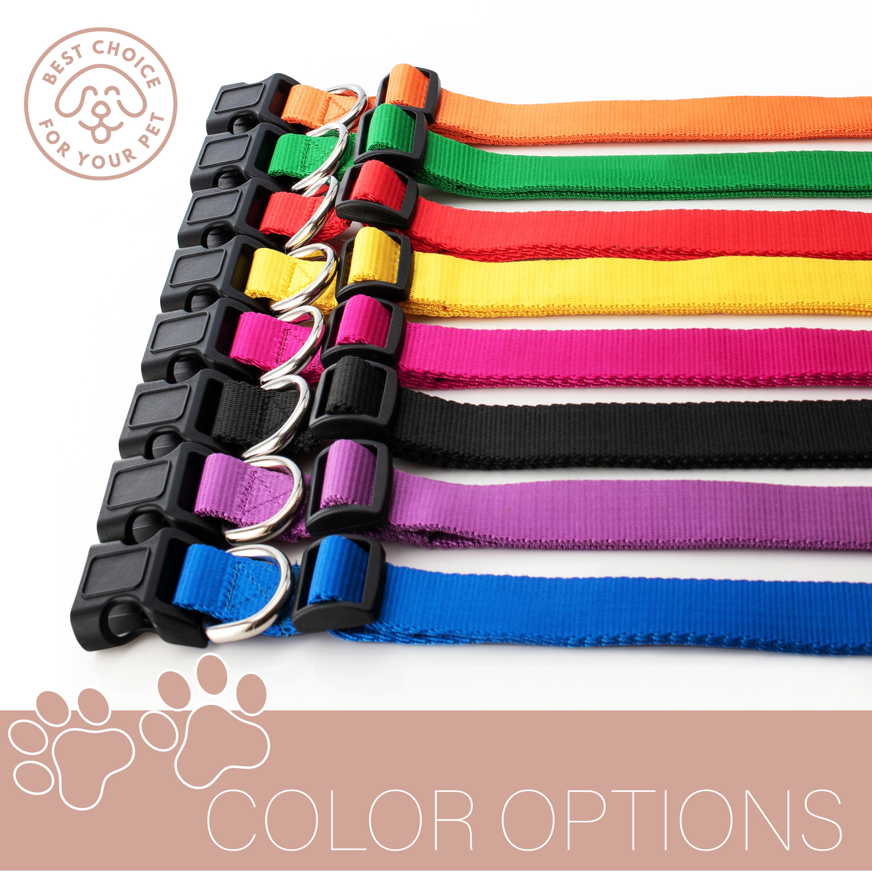 Personalized Embroidered Pet Collar for Funny & Unique | BKPet37