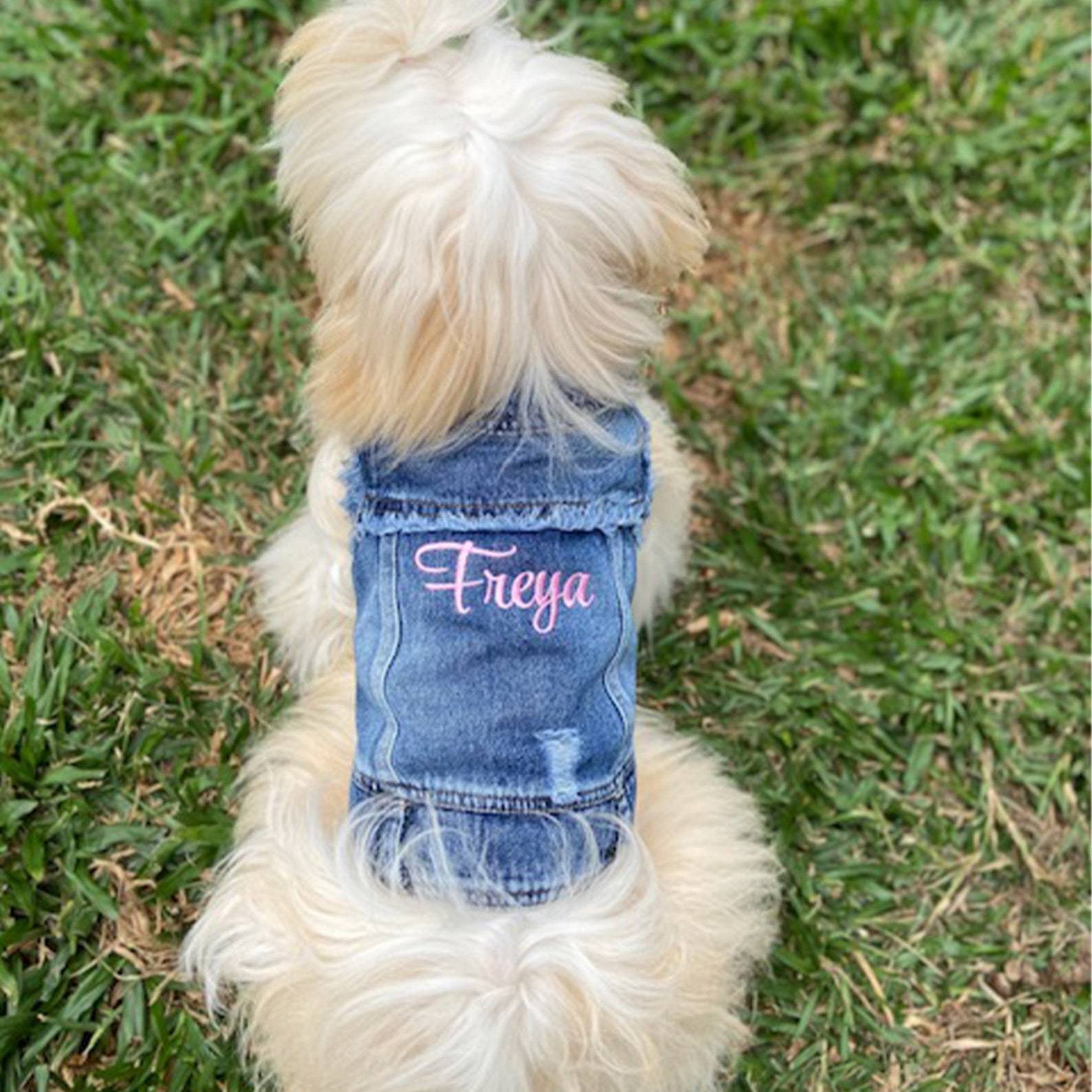 Personalized Embroidered Pets Denim Jacket for Comfort and Unique | BKPet33