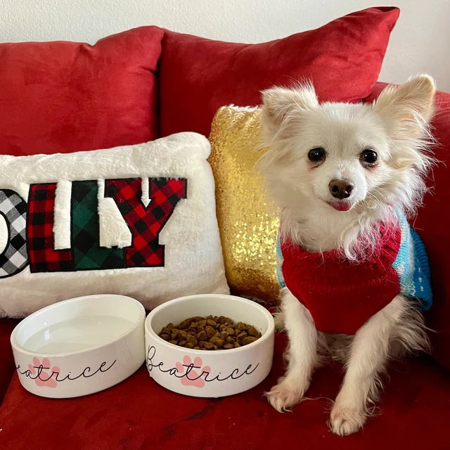 Personalized Pet Paw Print Design Dog Bowl  | BKPet41