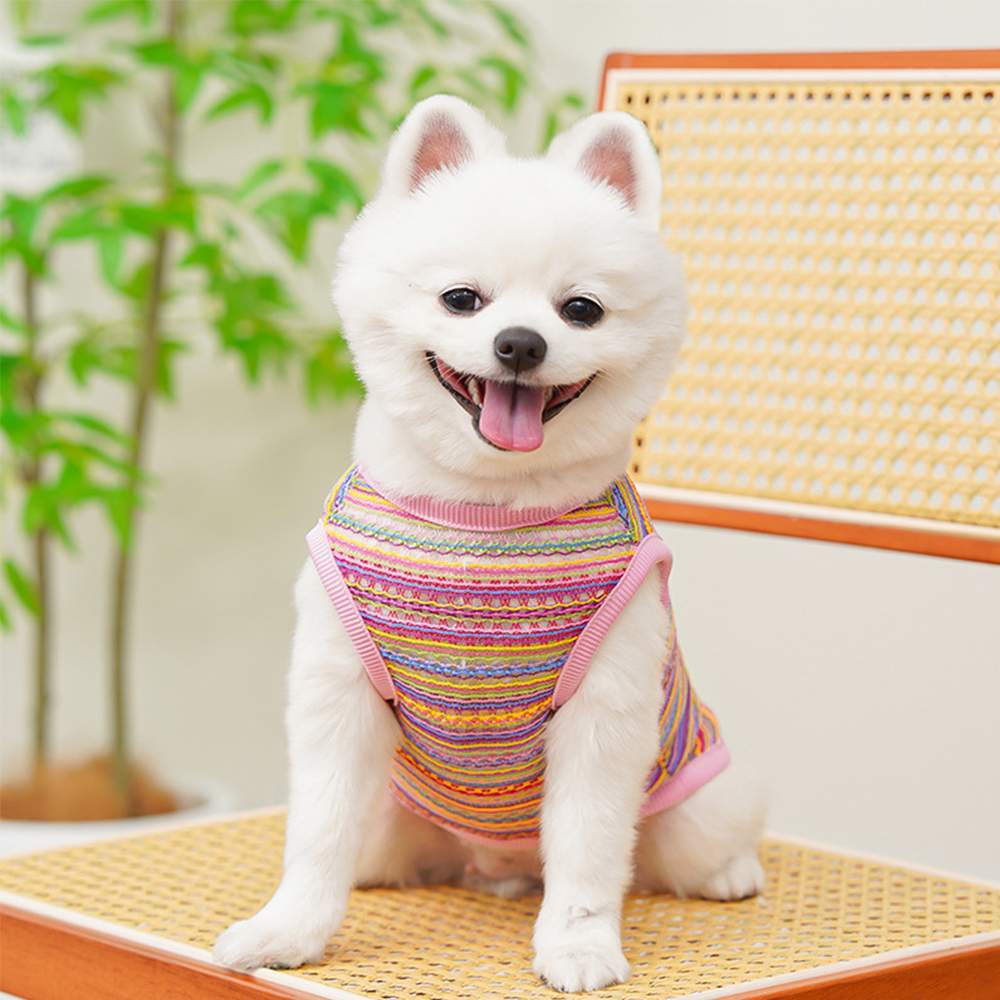 Personalized Breathable Pet Summer Cool Mesh Vest | BKPet191