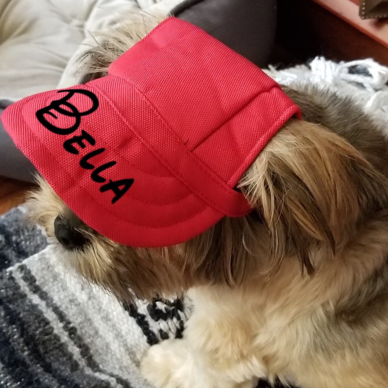 Personalized Pet Color Baseball Cap with Ear Holes | CWPet60