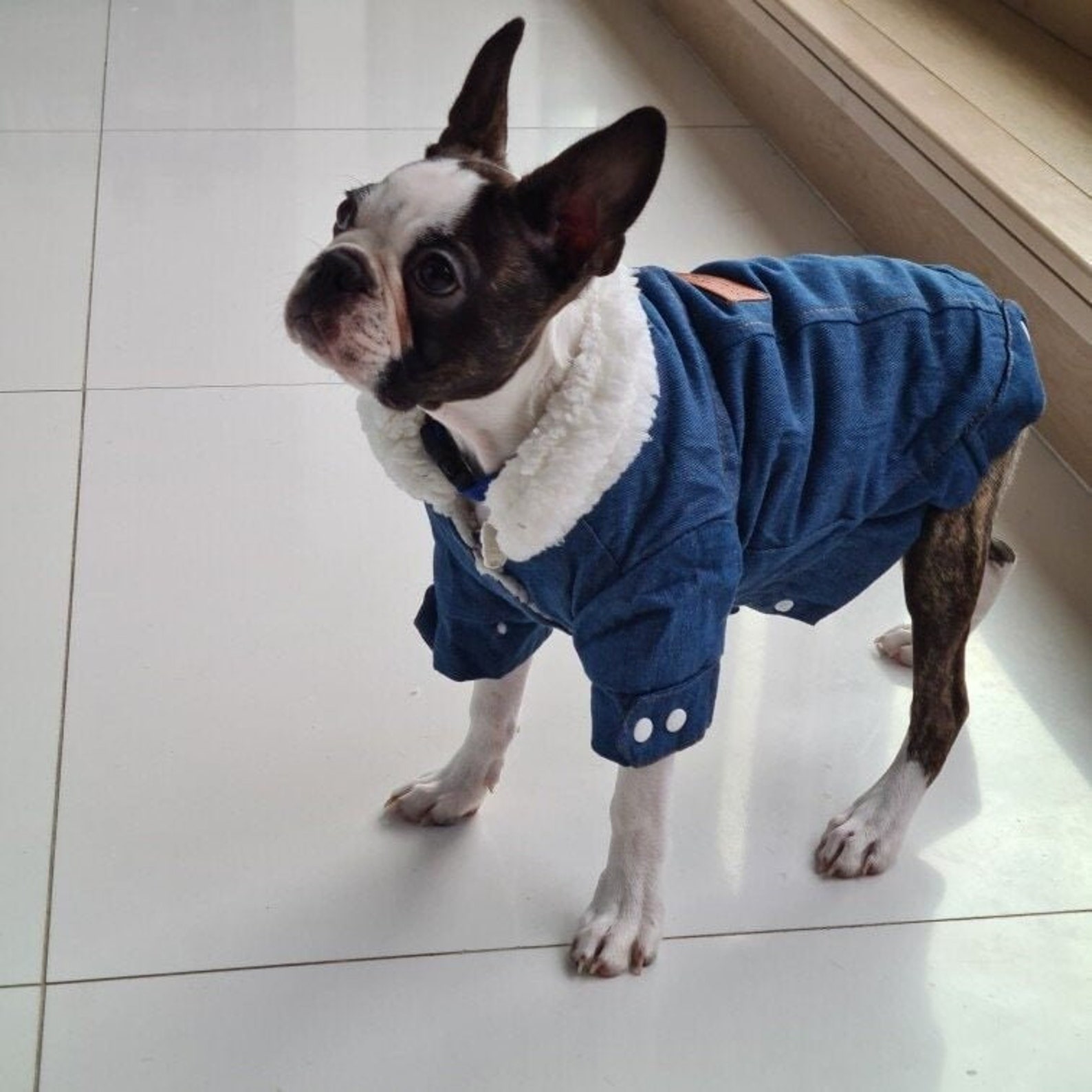 Personalized Leather Patch Pets Warm Denim Jacket | BKPet69