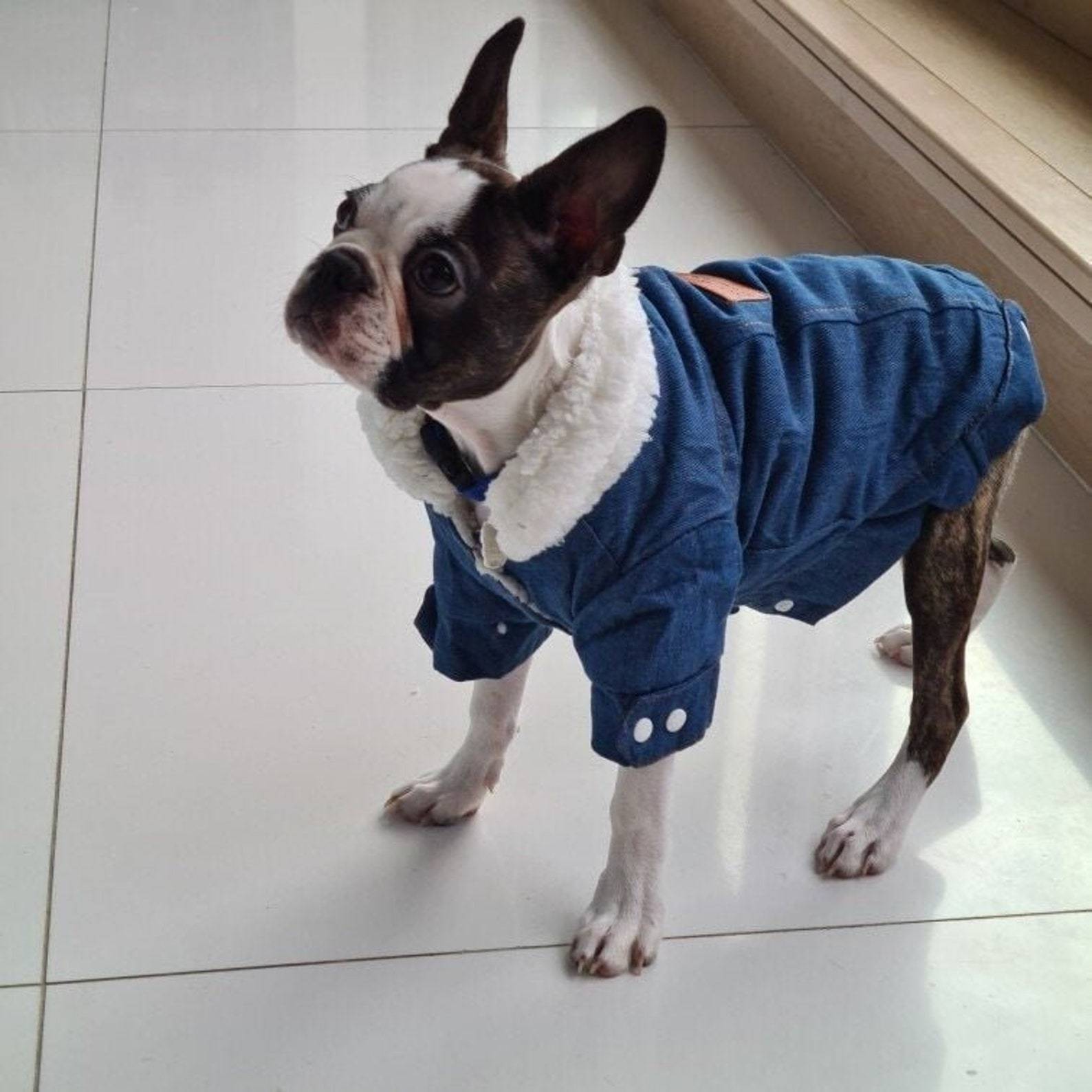 Personalized Leather Patch Pets Warm Denim Jacket | BKPet69
