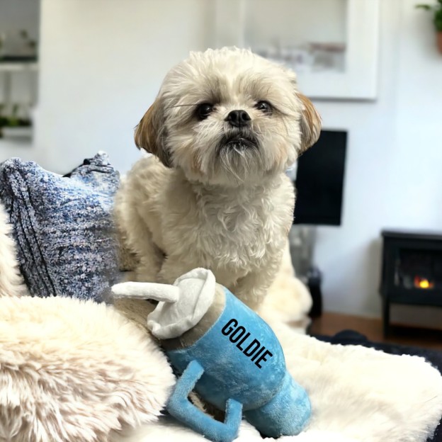 Personalized Tumbler Pet Squeaky Toy | BKPet86
