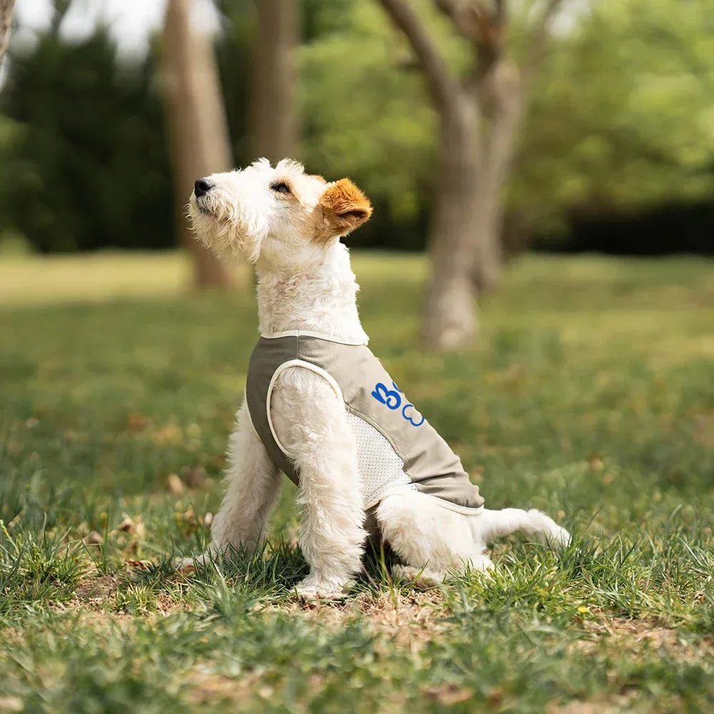 Personalized Summer Cooling Mesh Dog Vest | MNCloth223