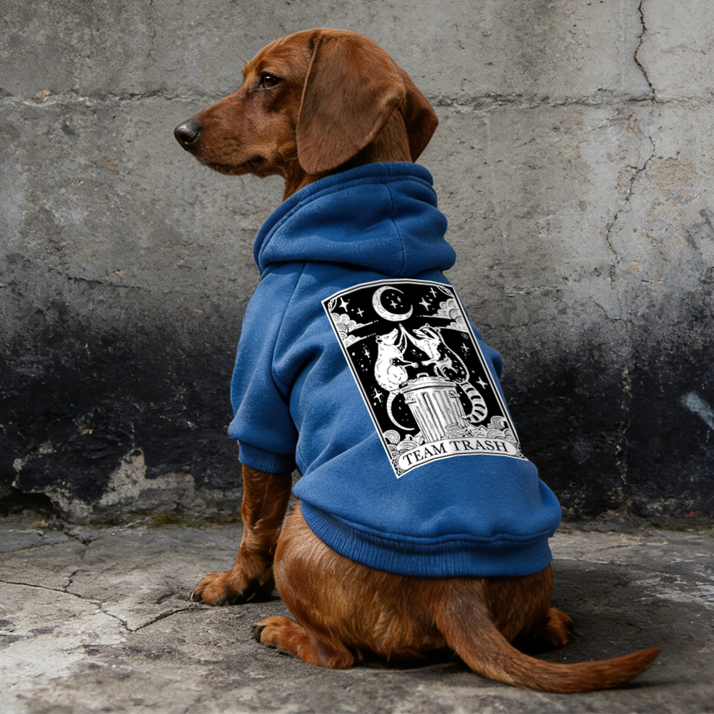 TEAM TRASH Puppy Hoodie | BKPet322