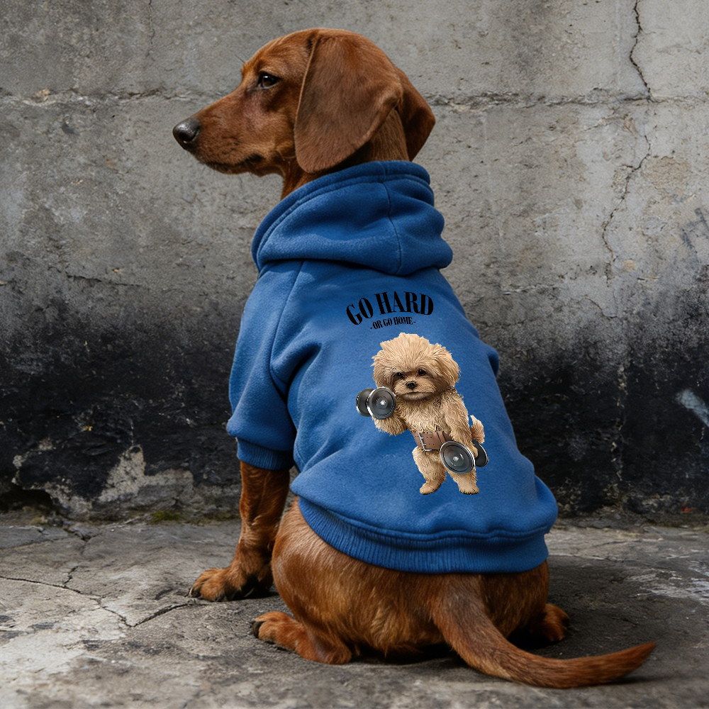 GO HARD OR GO HOME Puppy Hoodie | BKPet338