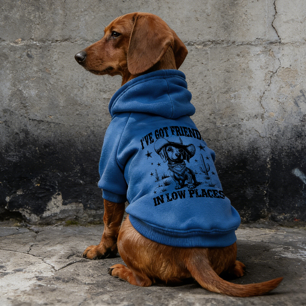 I'VE GOT FRIENDS Puppy Hoodie | BKPet340
