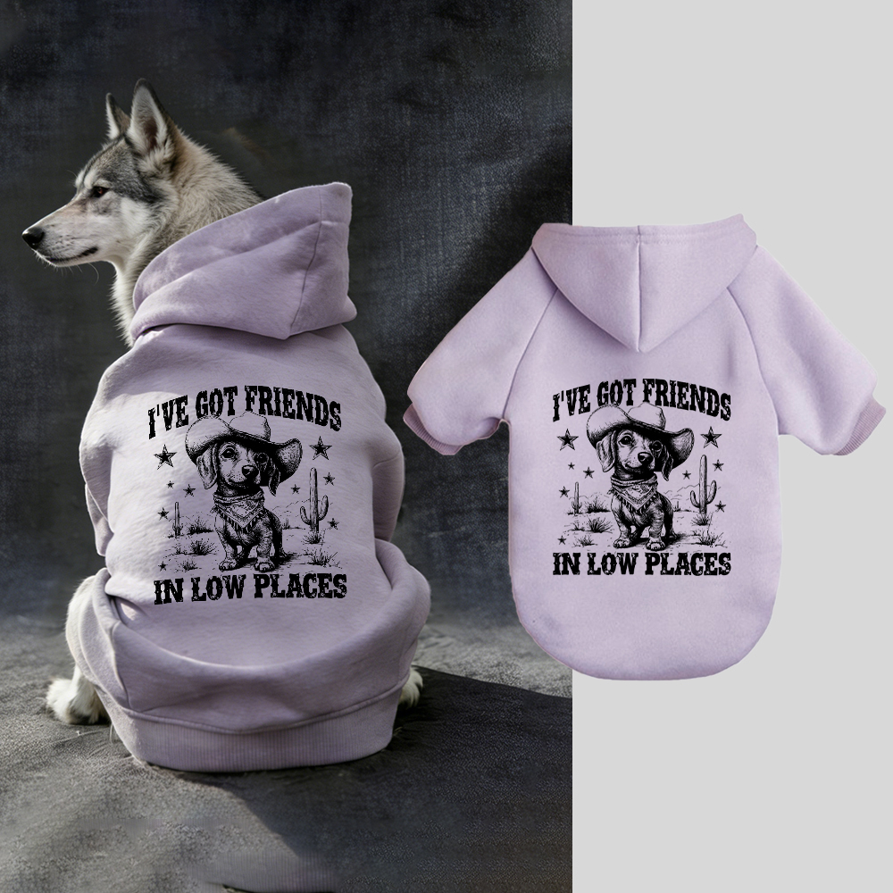 I'VE GOT FRIENDS Puppy Hoodie | BKPet340