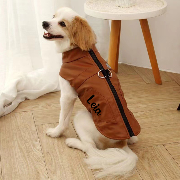 Personalized Pet Winter Warm Windproof Leather Jacket | BKPet361