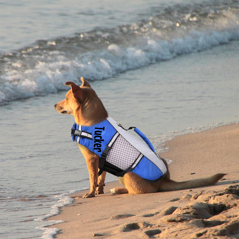 Personalized Pet Swimming Buoyancy Reflective Safety Shark Vest | BKPet406