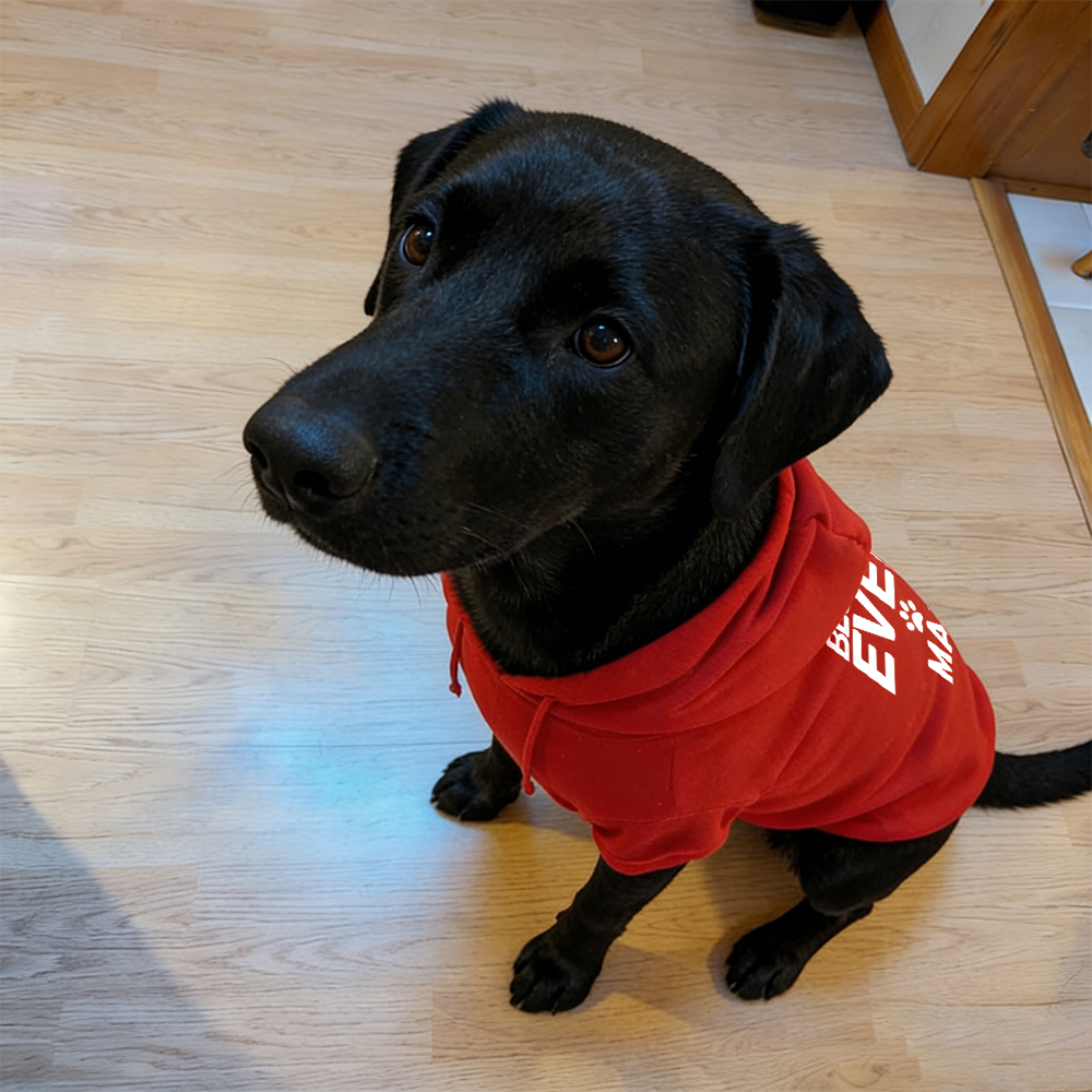 Personalized I Have the Best Mom Ever Pet Soft Hoodie | BKPet430