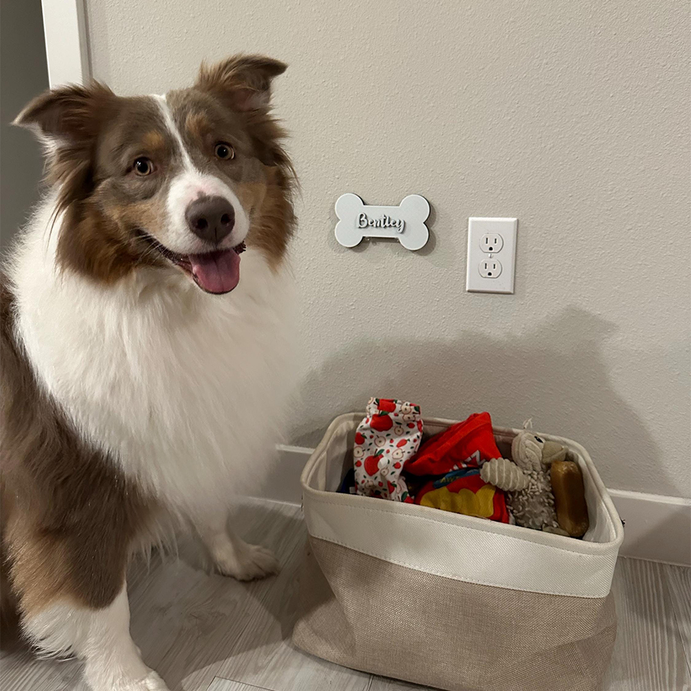 Personalized Dog Paw Name Crate Sign | BKPet426