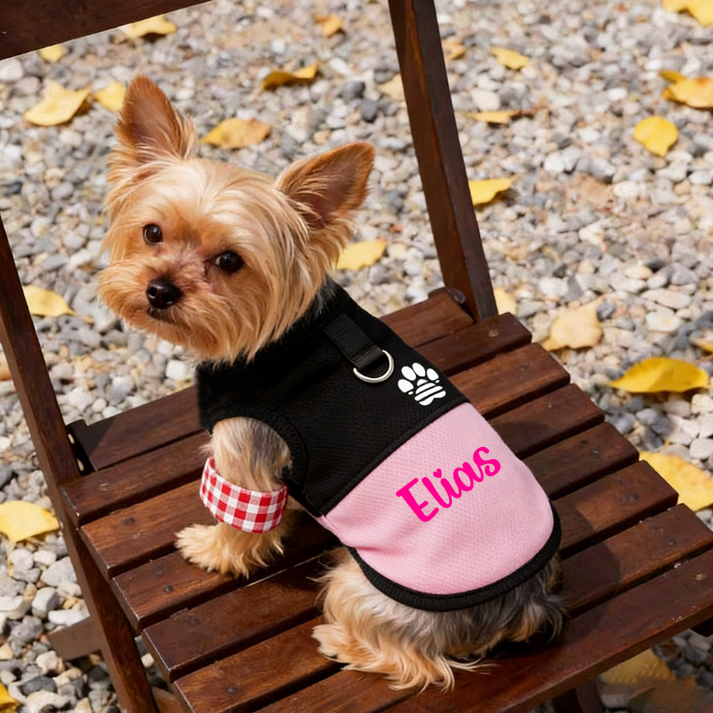 Personalized Pet Comfortable Breathable Mesh Vest | BKPet445