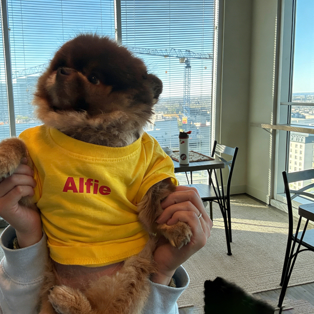 Personalized Chicken Nuggets Large Size Soft Pet Tee | BKPet447
