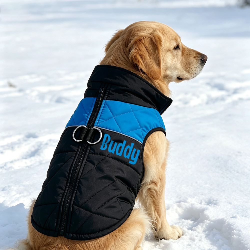 Personalized Winter Pet Fleece-Lined Color-Blocked Vest | BKPet597