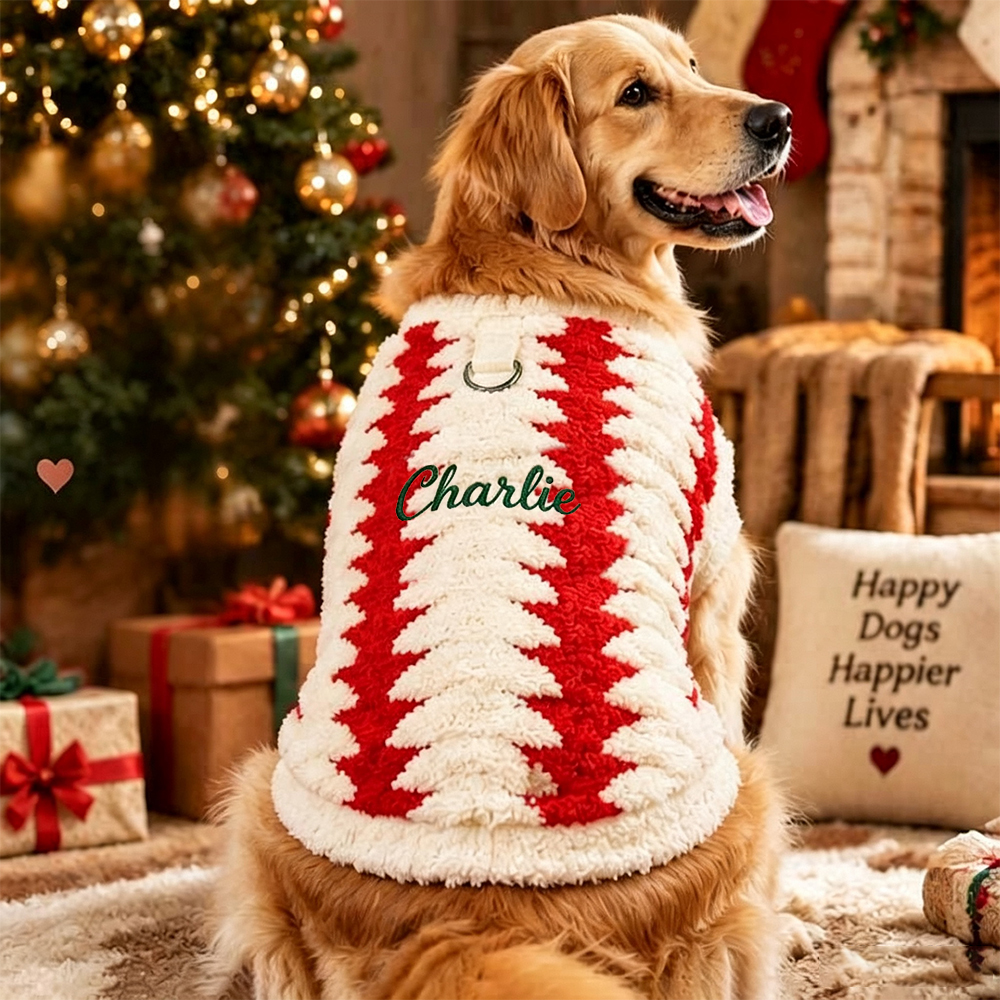 Personalized Embroidered Christmas Dog Sweater | BKPet603