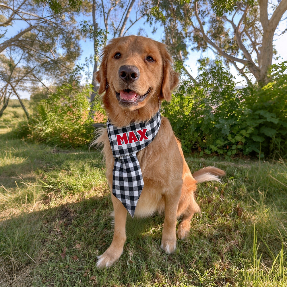 Personalized Pets Christmas Adjustable Plaid Scarf | BKPet642