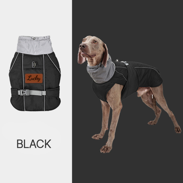 Personalized Warm Puppy Waterproof Reflective Jacket | BKPet39