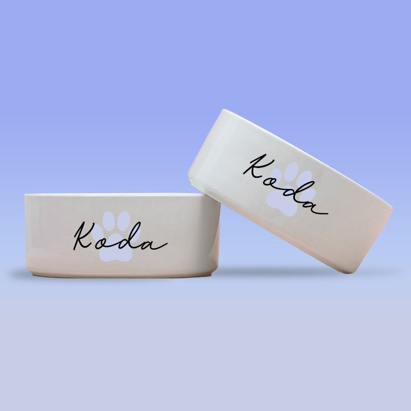 Personalized Pet Paw Print Design Dog Bowl  | BKPet41