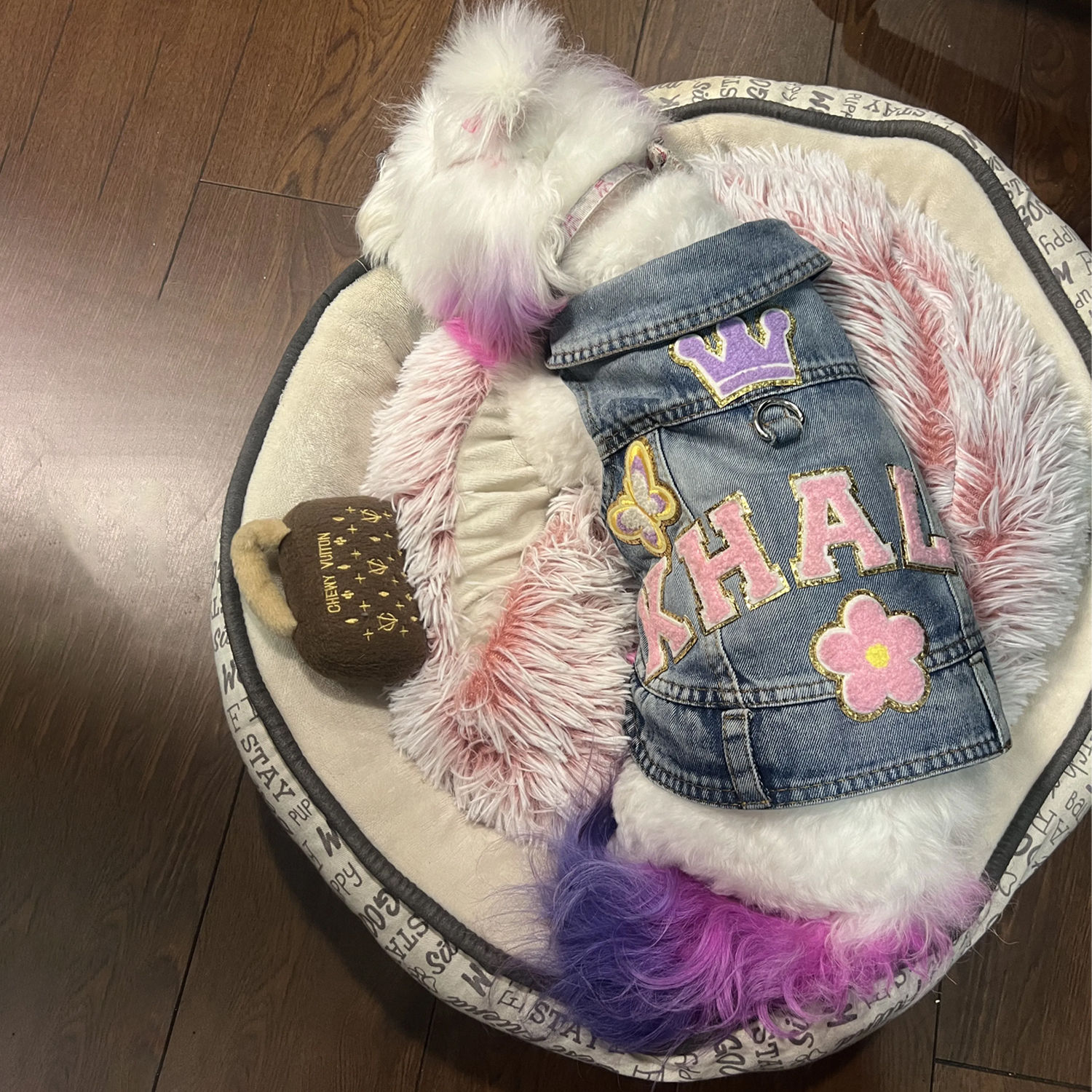Personalized Hand Patch Pets Denim Jacket for Comfort and Unique | BKPet26