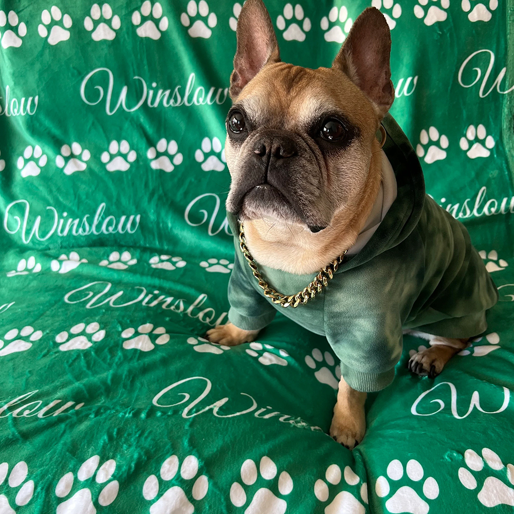 Personalized Lovely Pet Blanket for Comfort & Unique | BKPet14