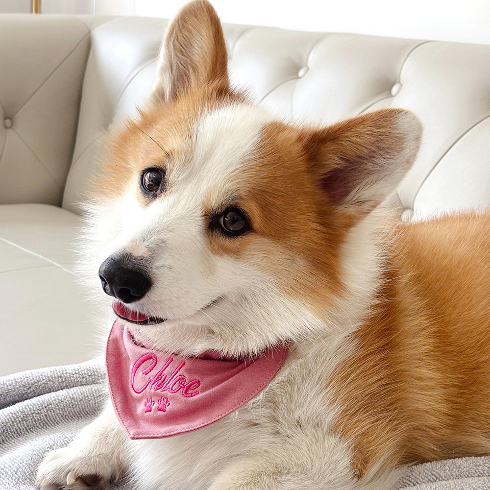 Personalized Embroidered Adjustable Dog Bandana | BKPet166