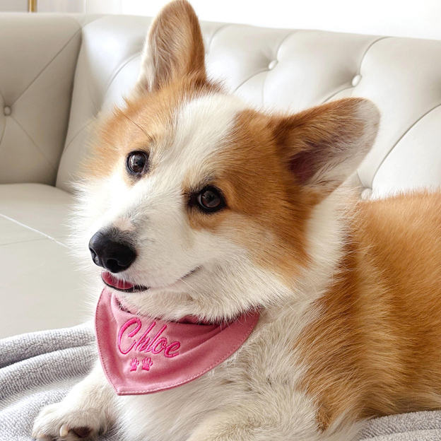 Personalized Embroidered Adjustable Dog Bandana | BKPet166