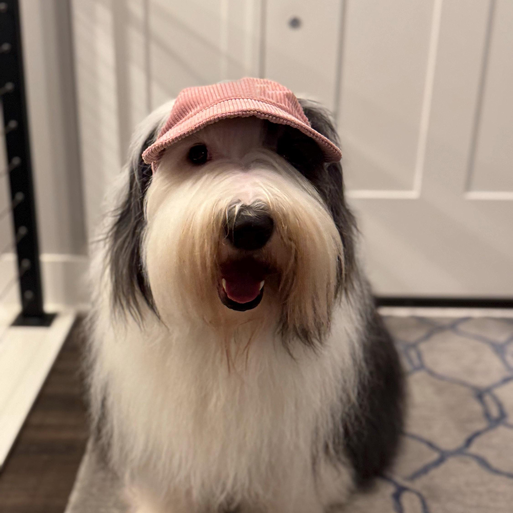 Personalized Corduroy Adjustable Pet Pet Baseball Cap | BKPet184