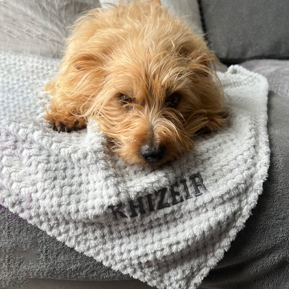 Personalized Embroidered Pet Soft Waffle Blanket | BKPet197