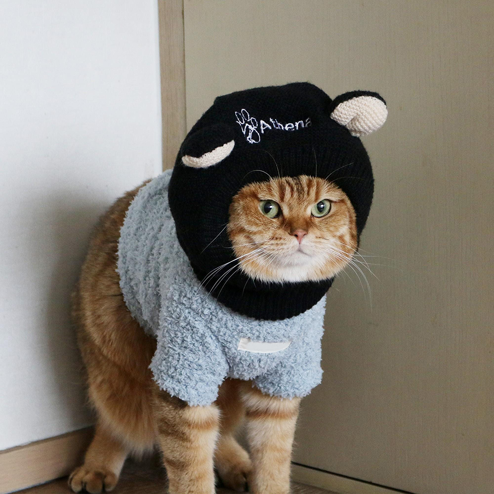 Personalized Embroidered Pet Winter Anti Noise Earmuffs Hat | BKPet206