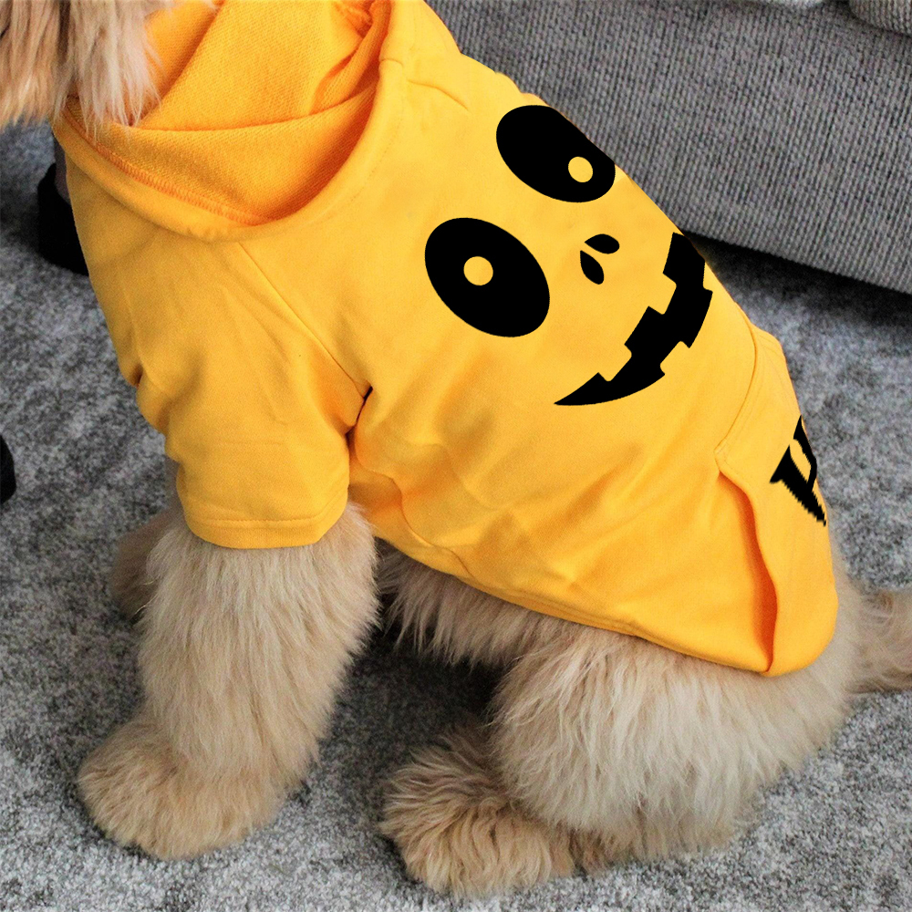 Personalized Halloween Puppy Hoodie for Comfort & Unique | CWHalloween56