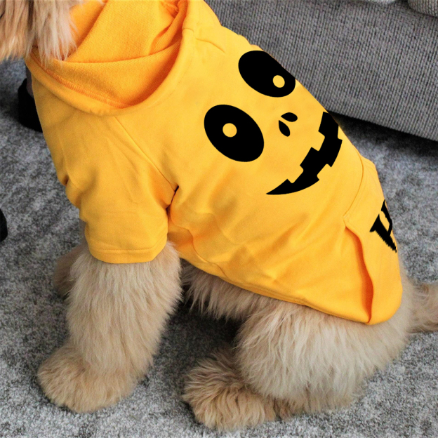 Personalized Halloween Puppy Hoodie for Comfort & Unique | CWHalloween56