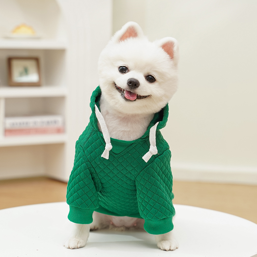 Personalized Warm Pullover Pet Hoodie Sweatshirt | BKPet209