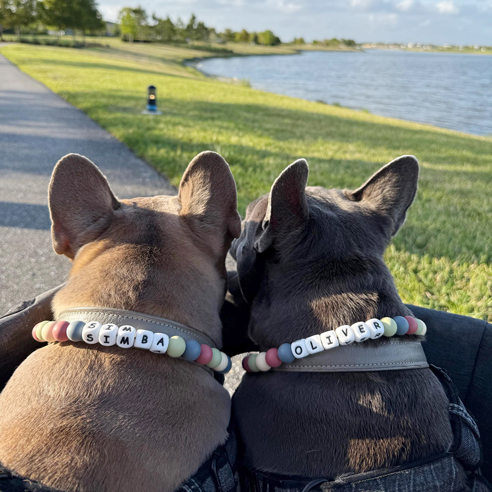 Personalized Handmade Beaded Adjustable Buckle Dog Collar | BKPet221